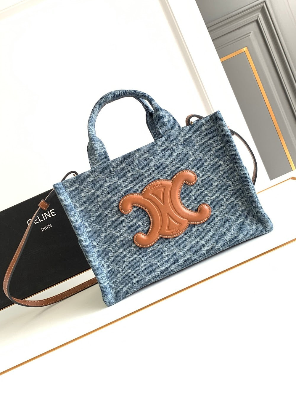 Dragons Bags Celine Luxury Bag --112129