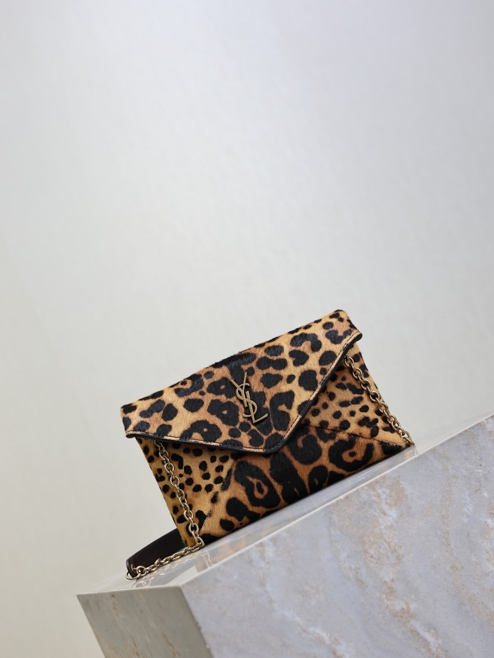 Dragons Bags YSLn Luxury Bag --119873