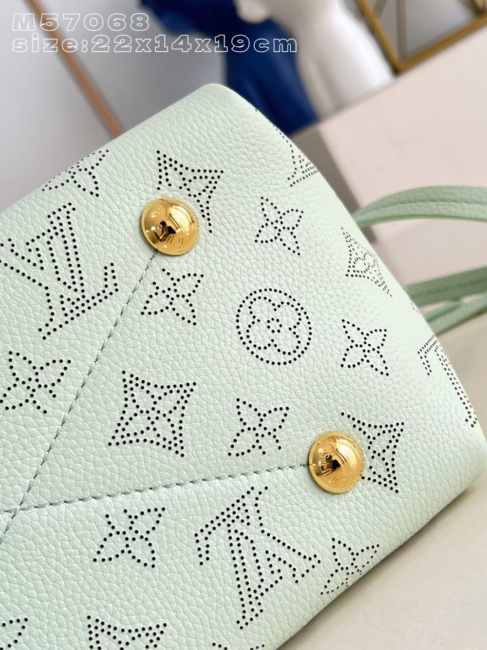 Dragons Bags ln Luxury Bag --96504