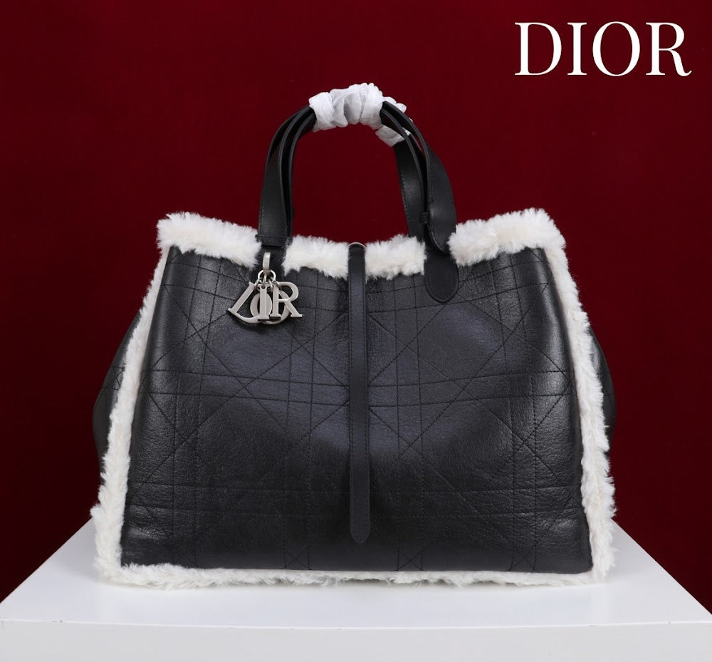 Dragons BagsDiorn Luxury Bag --114890