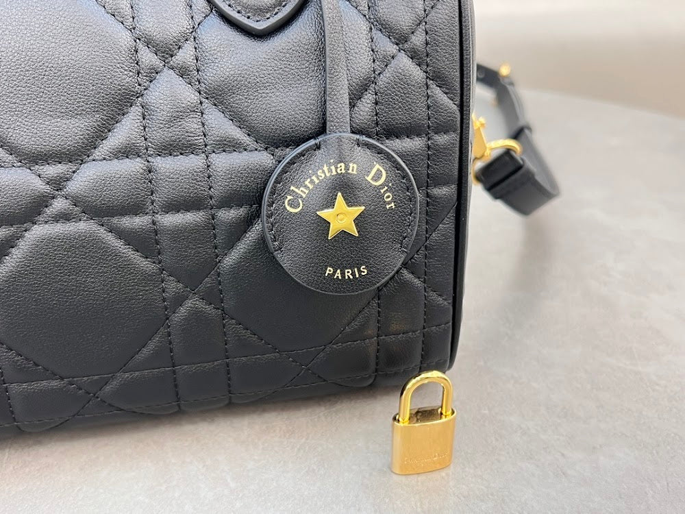 Dragons BagsDiorn Luxury Bag --116307