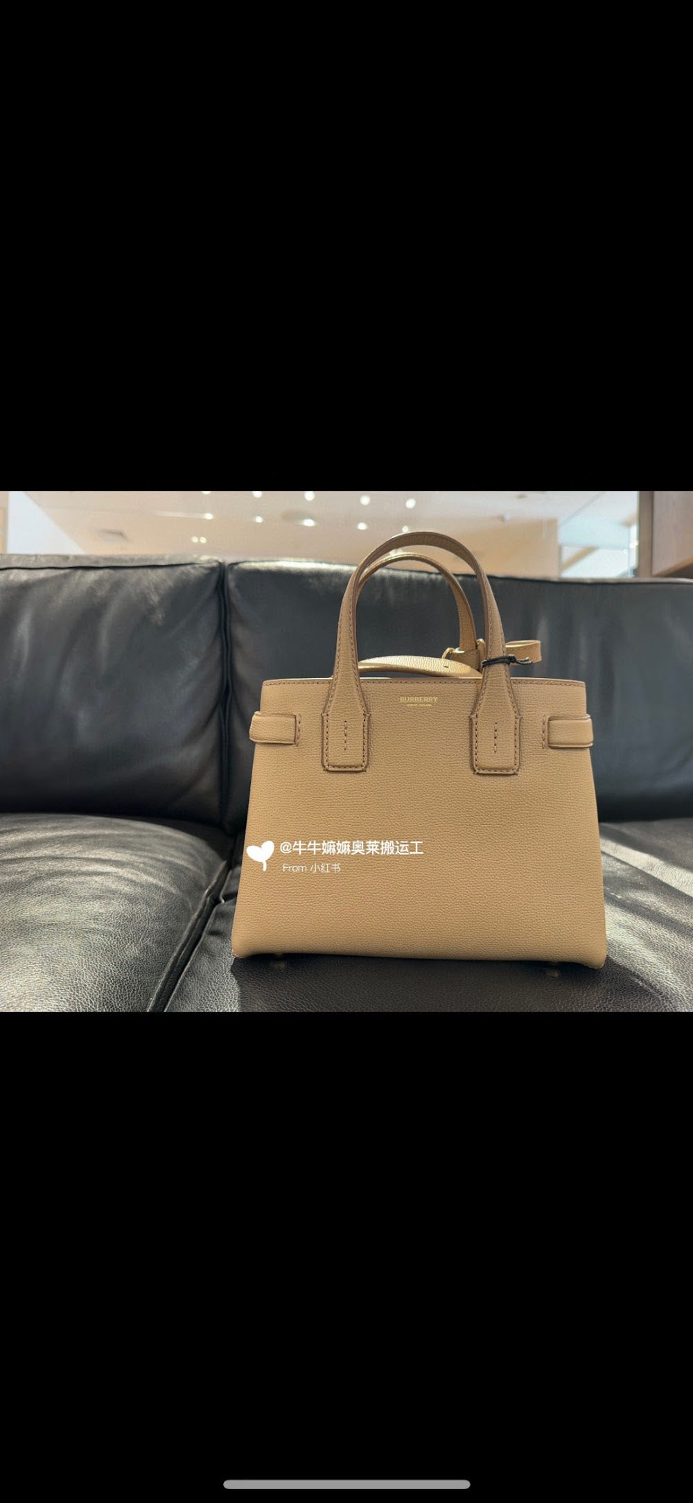 Dragons Bags Burberryn Luxury Bag --92200