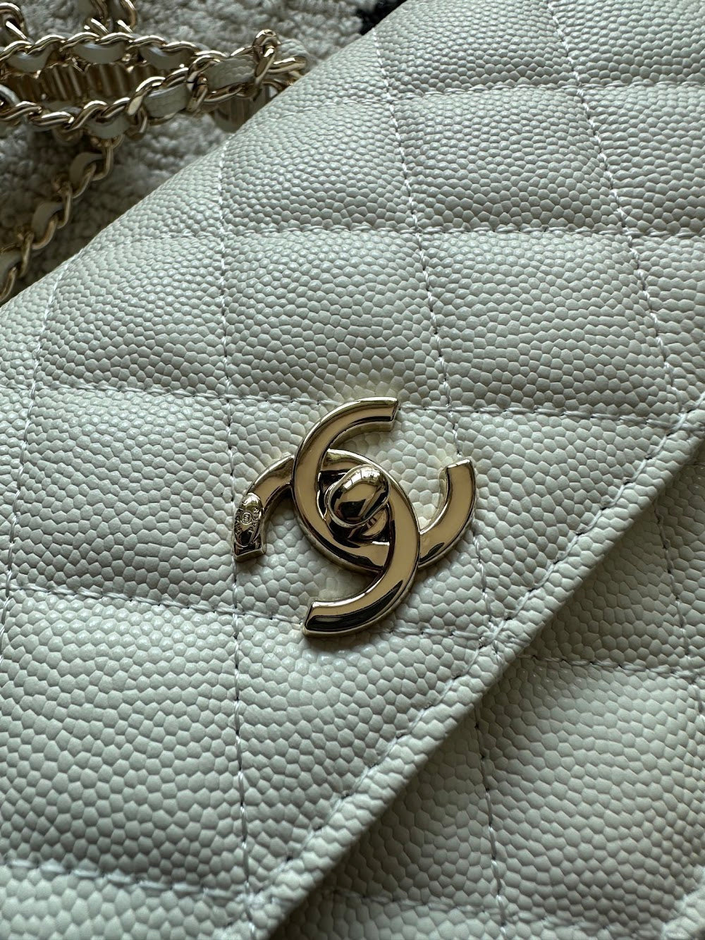 Dragons Bags CHn Luxury Bag --112718