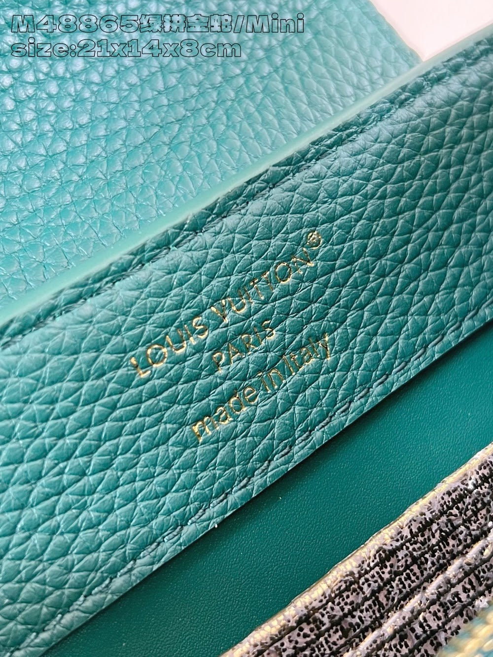 Dragons Bags ln Luxury Bag --95897