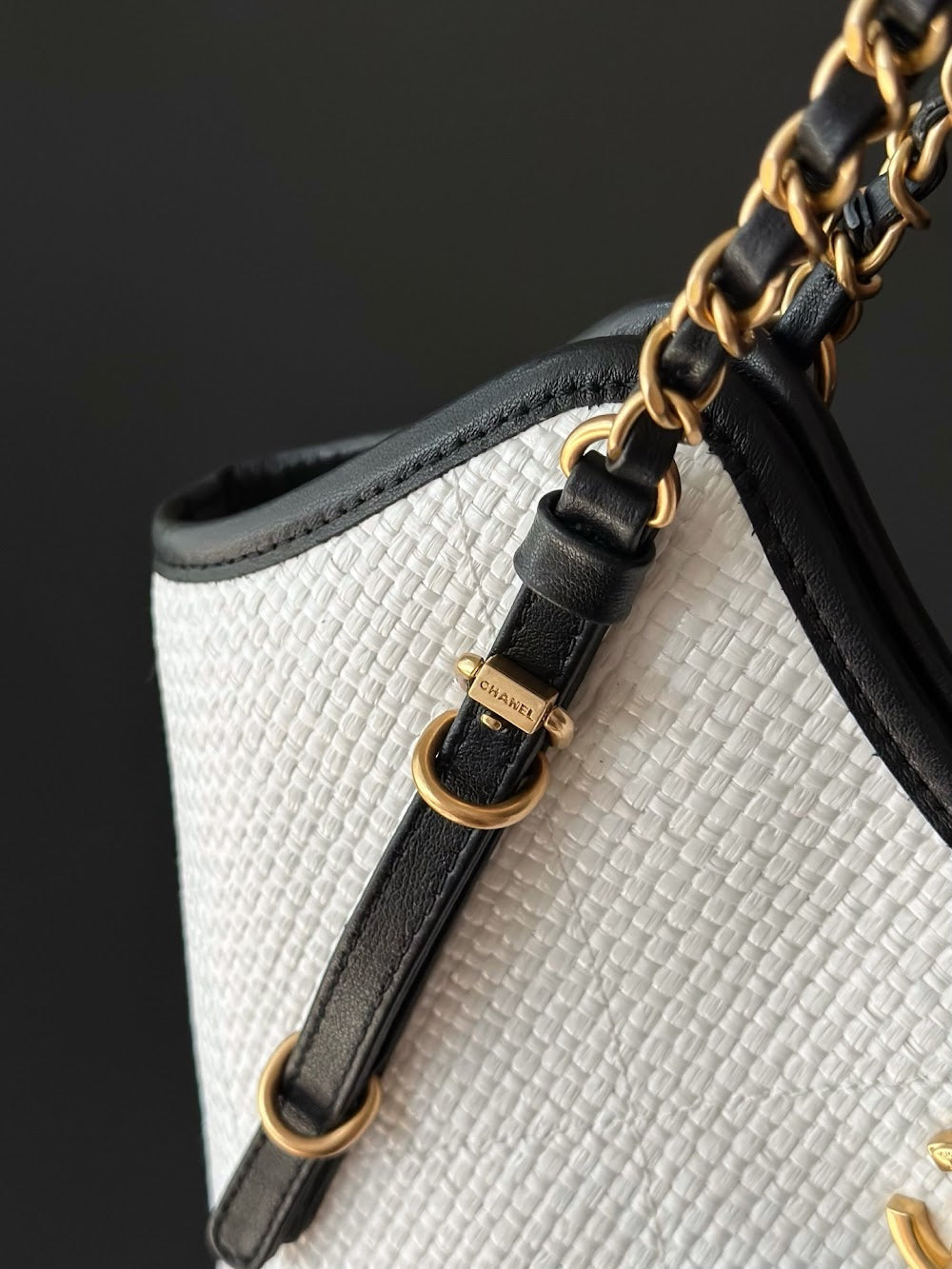 Dragons BagsCHn Luxury Bag --114236