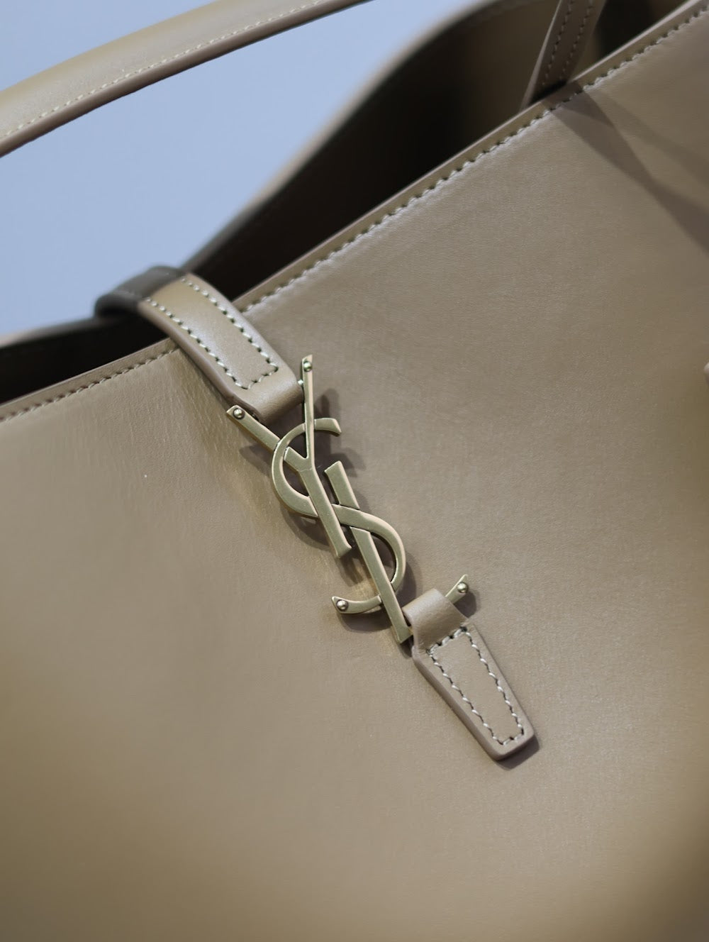 Dragons Bags YSLn Luxury Bag --119477