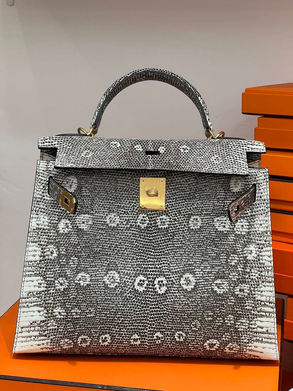 Dragons BagsHermesn Luxury Bag --117127