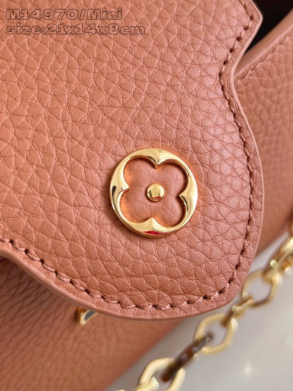 Dragons Bags ln Luxury Bag --97375