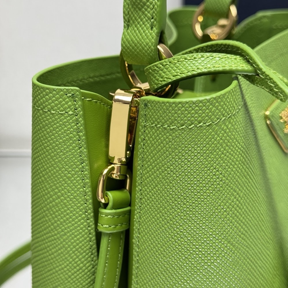 Dragons Bags Pradn Luxury Bag --102381