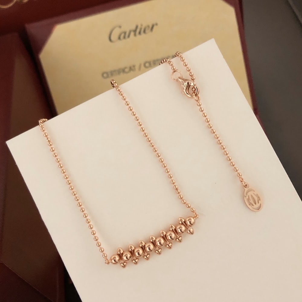 Dragons Bags Luxury Necklace --55623