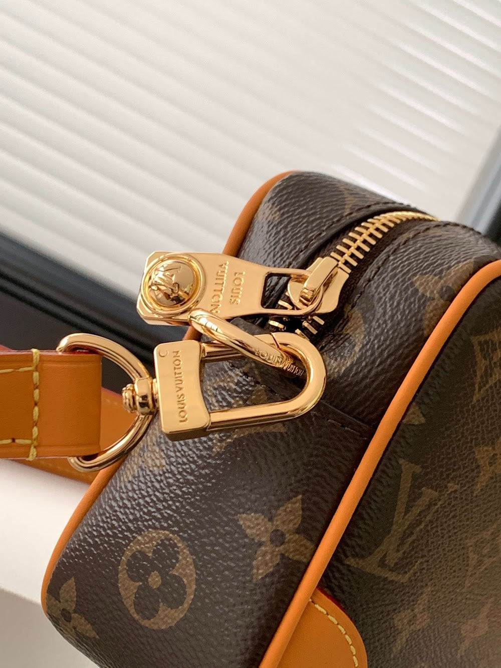 Dragons Bags LVn Luxury Bag --80188
