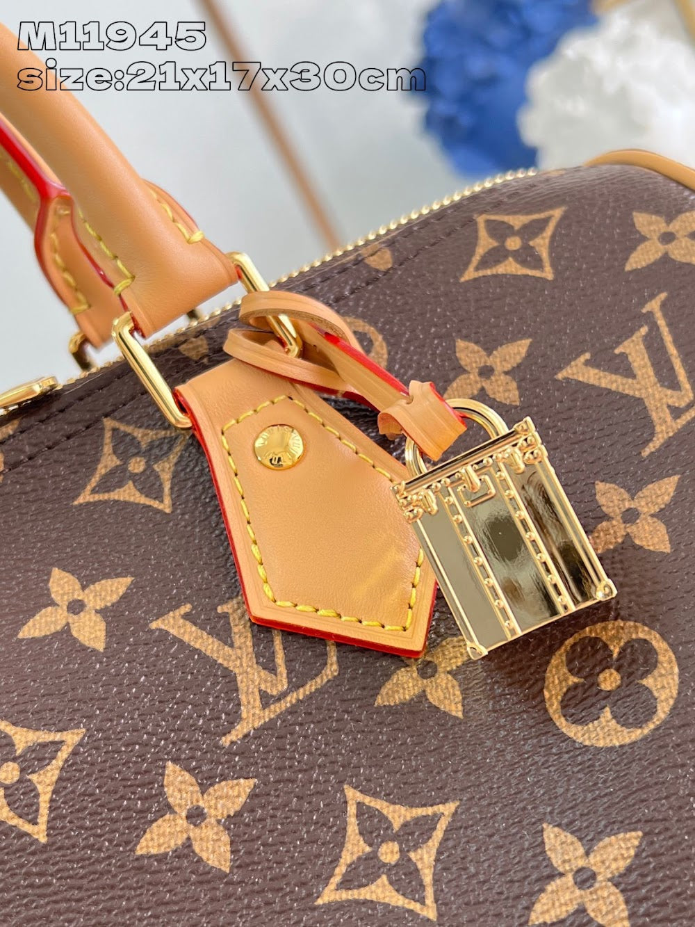 Dragons Bags ln Luxury Bag --96575