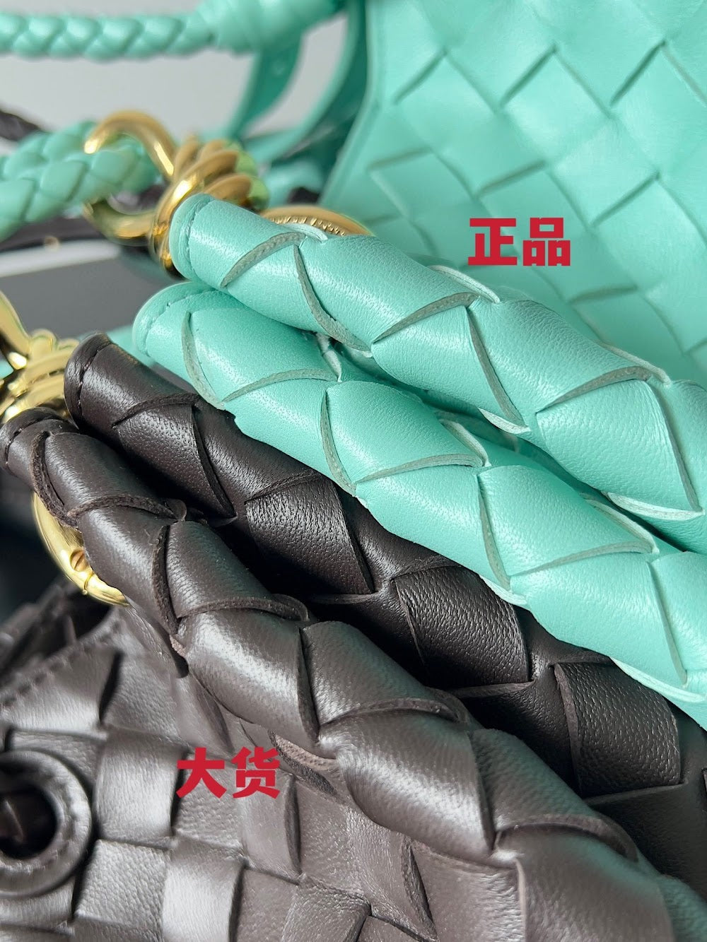 Dragons Bags Bottegan Luxury Bag --91093