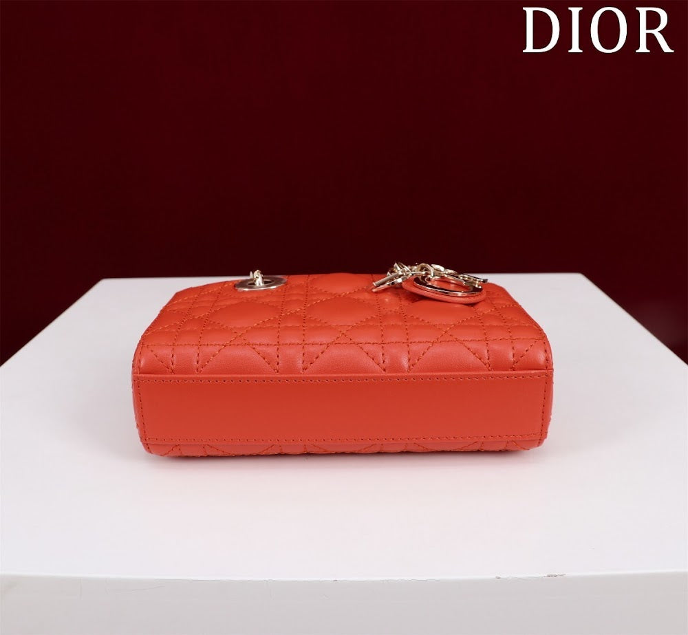 Dragons BagsDiorn Luxury Bag --116450