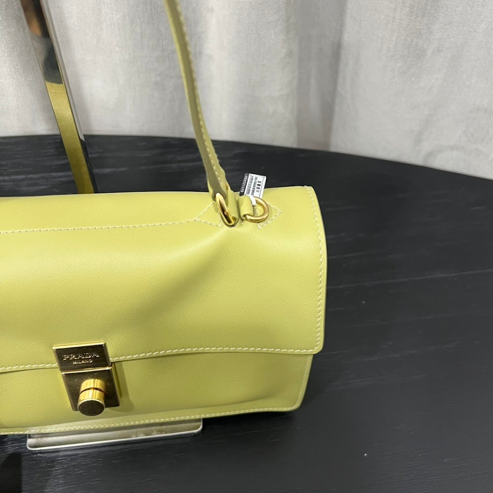 Dragons Bags Pradn Luxury Bag --101810
