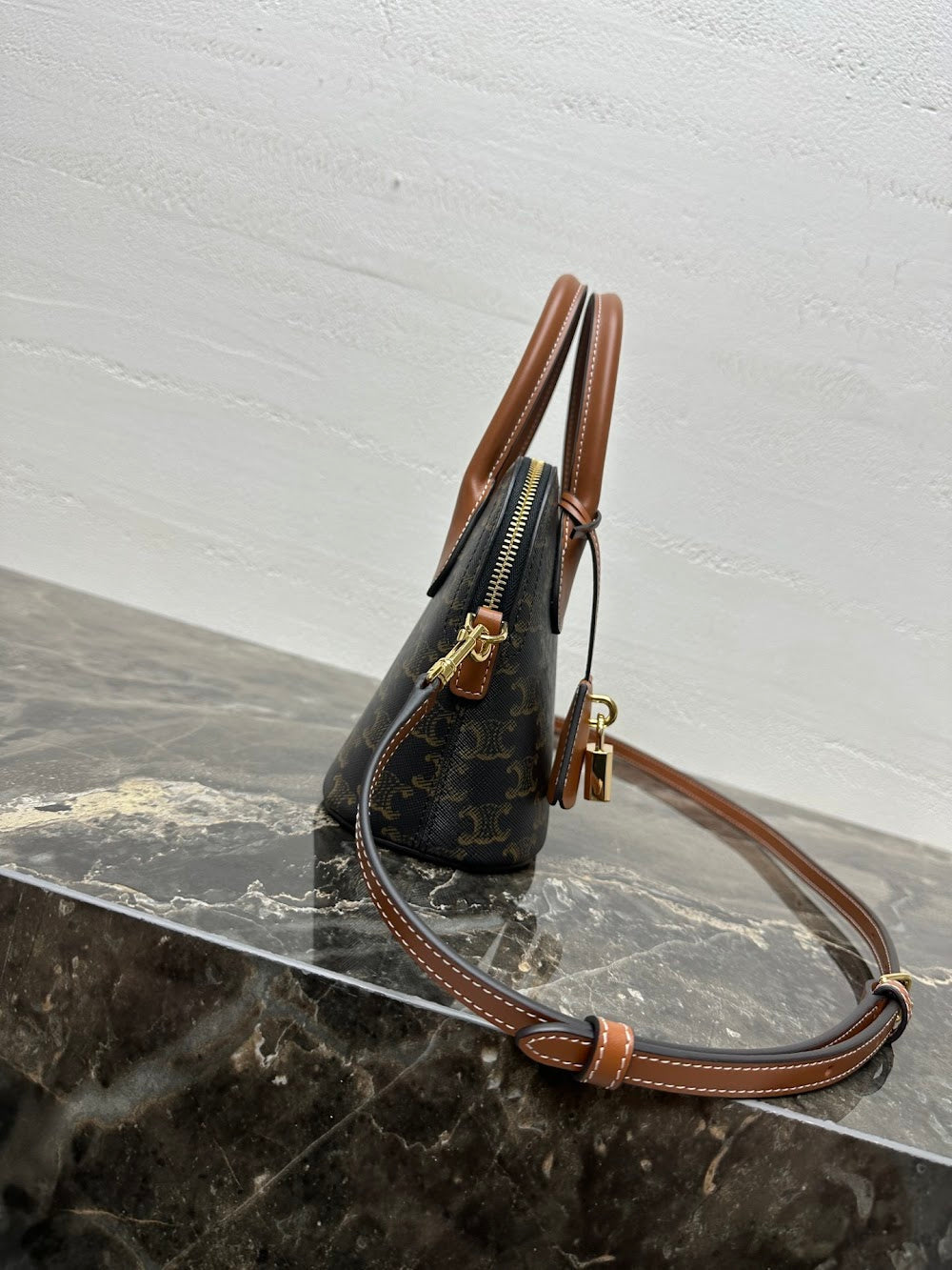 Dragons Bags Celine Luxury Bag --112348