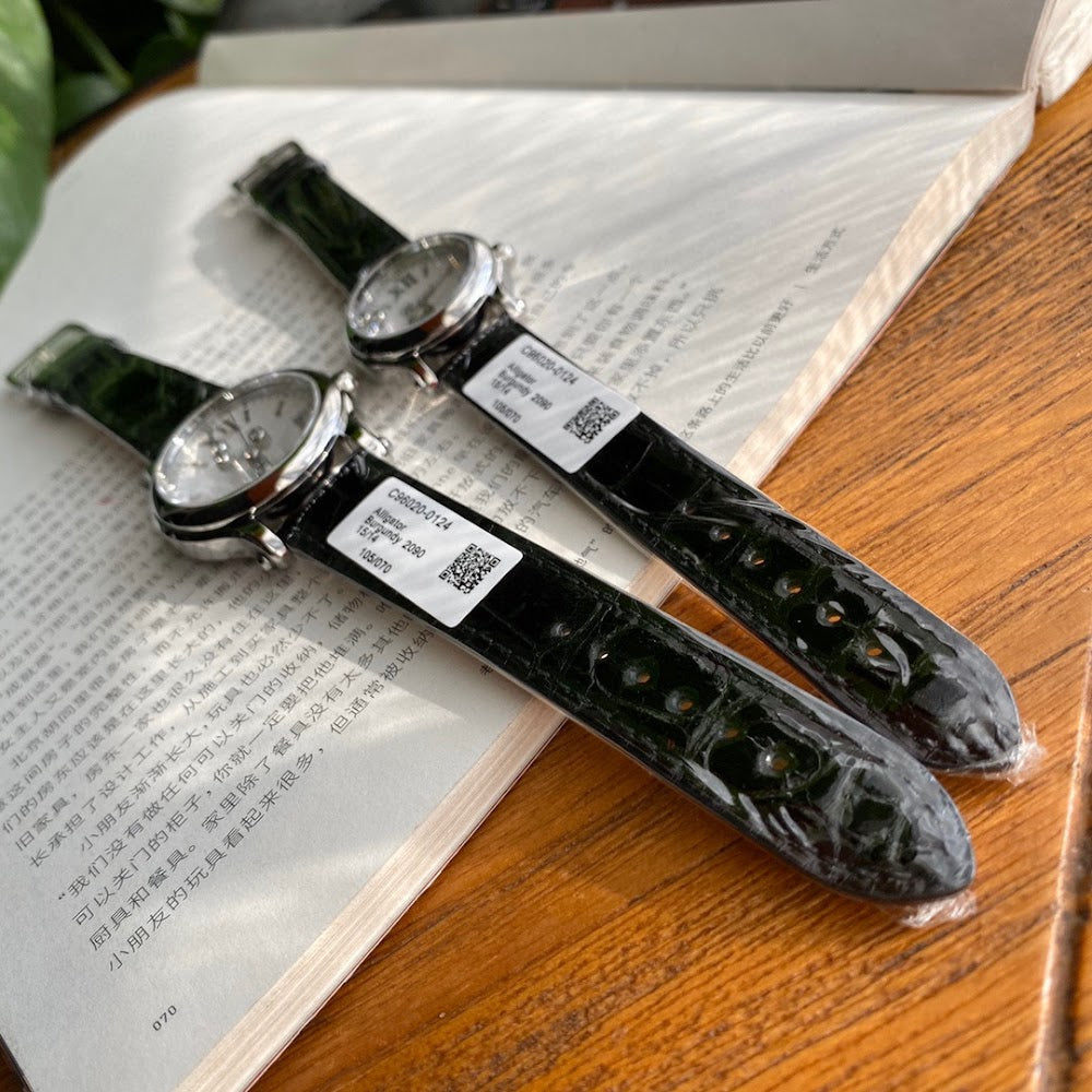 Dragons Bags Luxury Designer Watch --103373