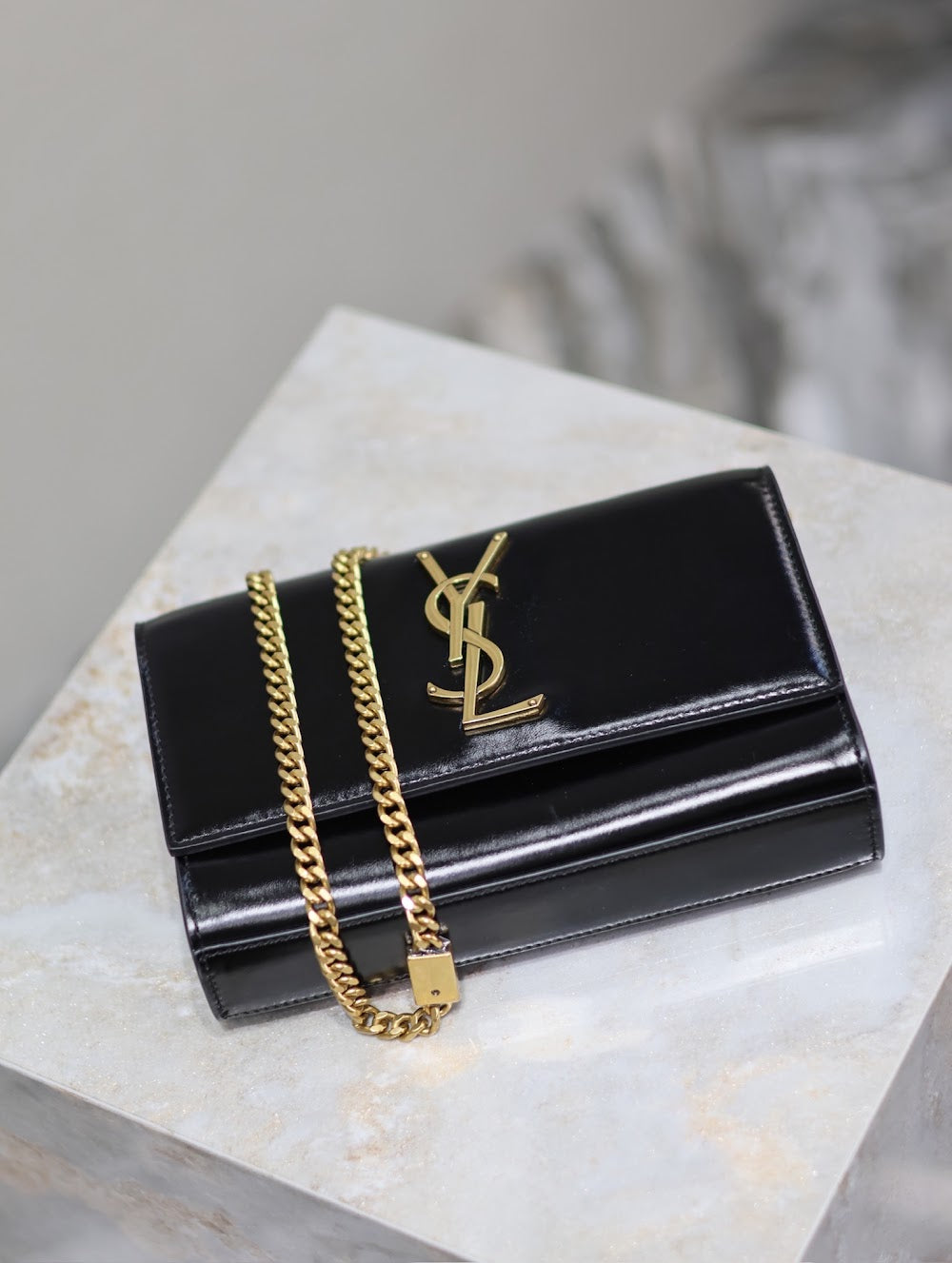 Dragons Bags YSLn Luxury Bag --120544