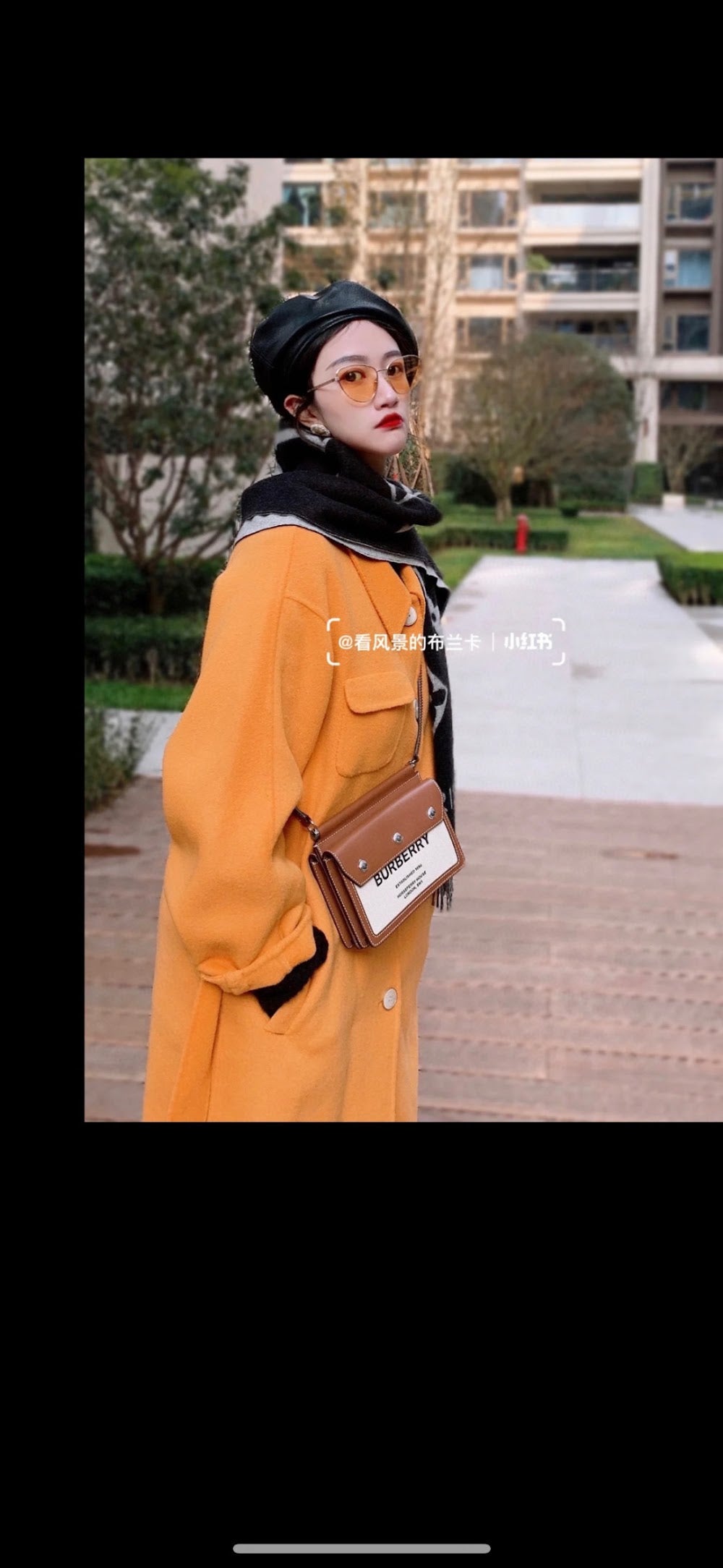 Dragons Bags Burberryn Luxury Bag --91877