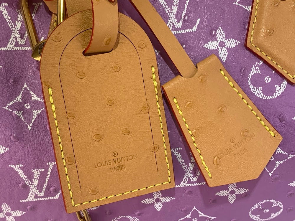 Dragons Bags ln Luxury Bag --97586