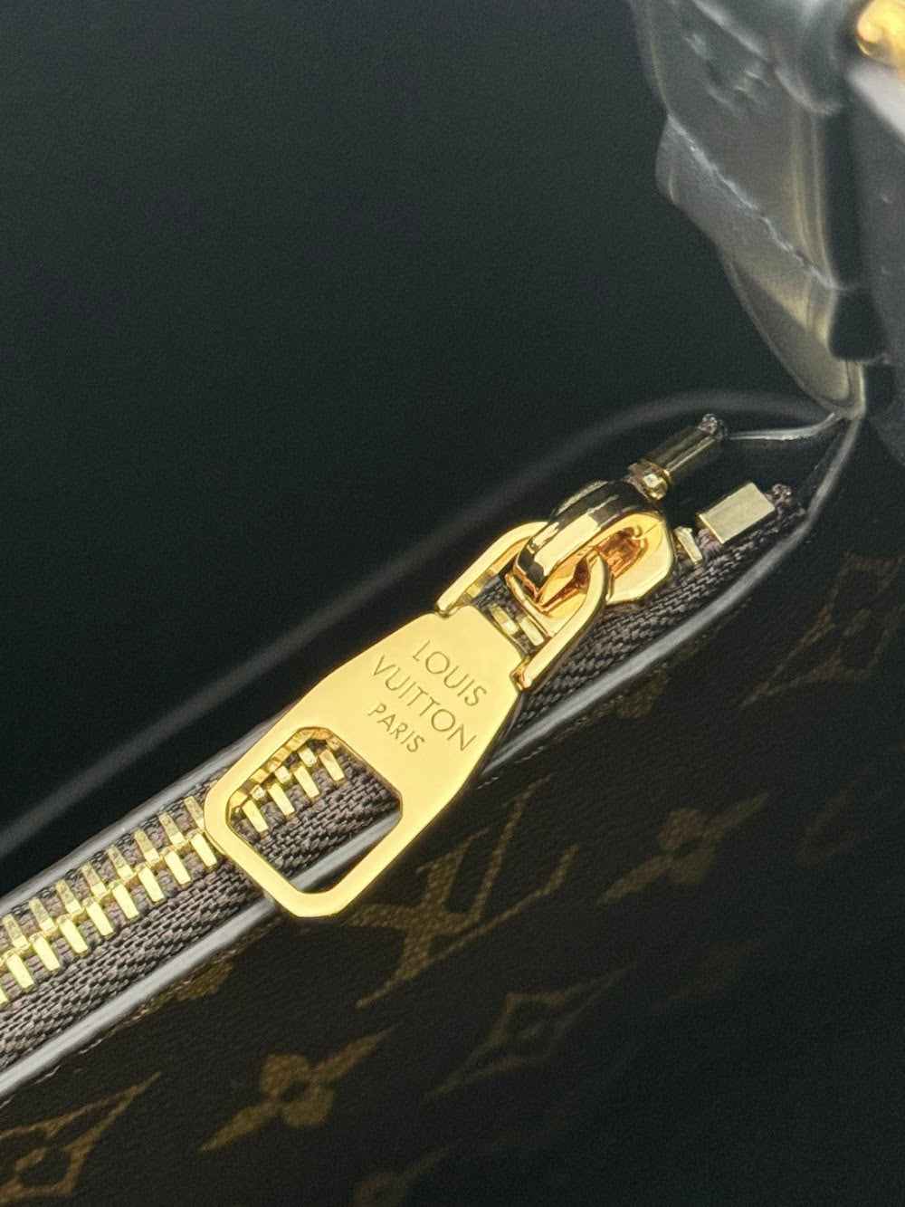 Dragons Bags ln Luxury Bag --96397