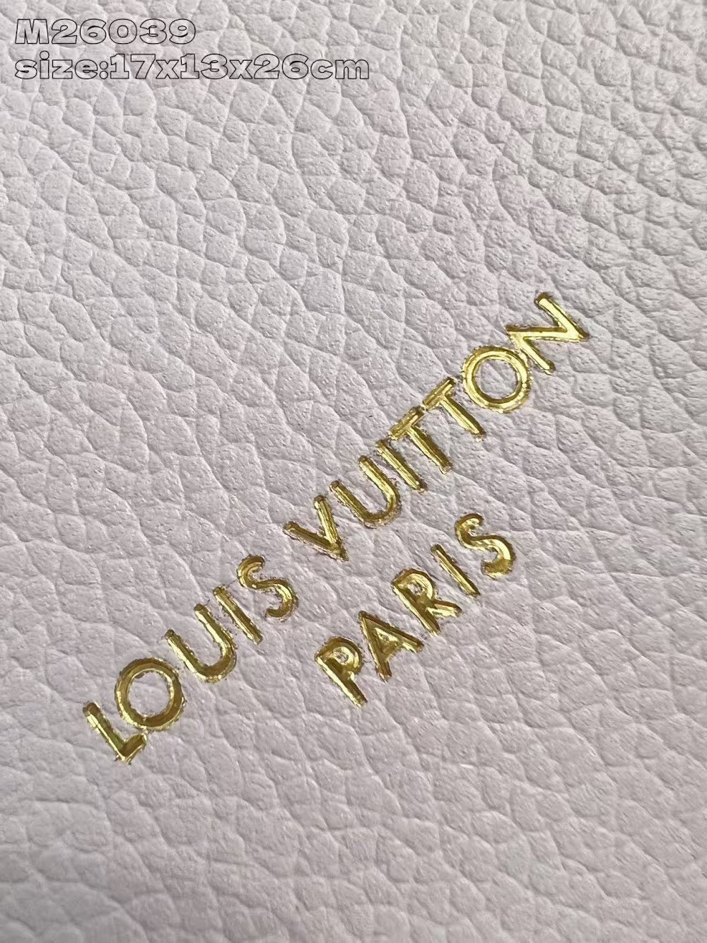 Dragons Bags ln Luxury Bag --95885