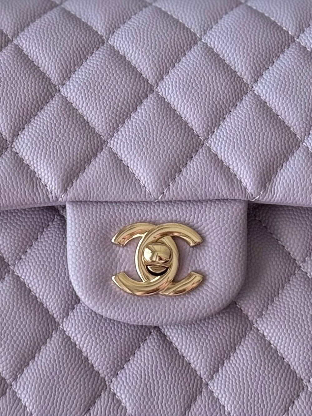 Dragons Bags CHn Luxury Bag --112776