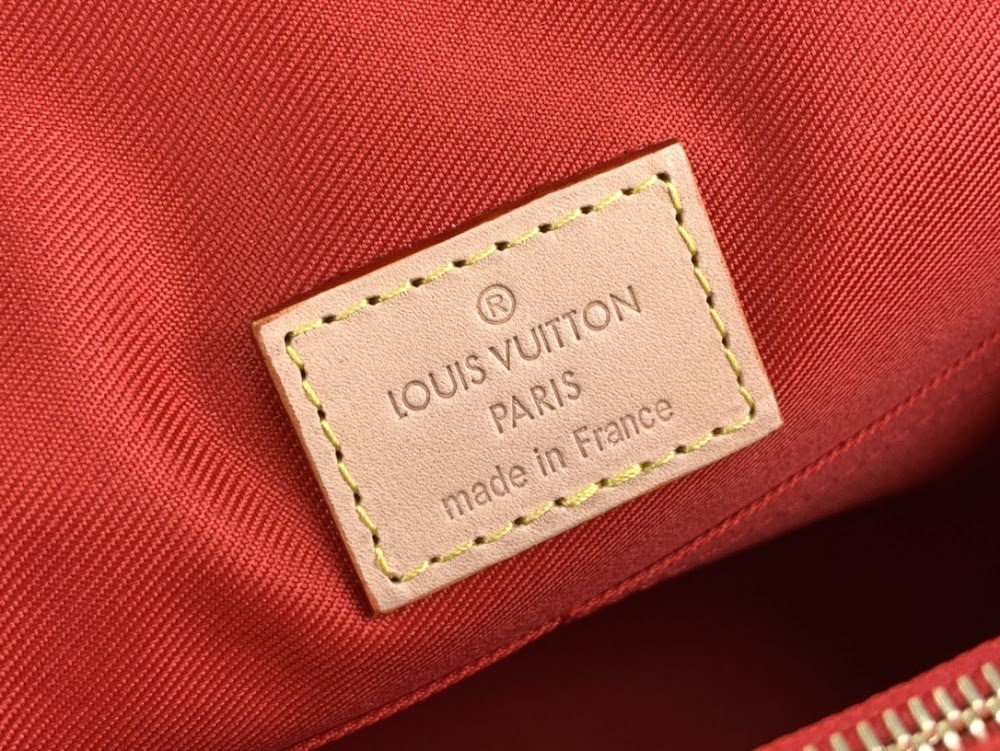 Dragons Bags ln Luxury Bag --61763