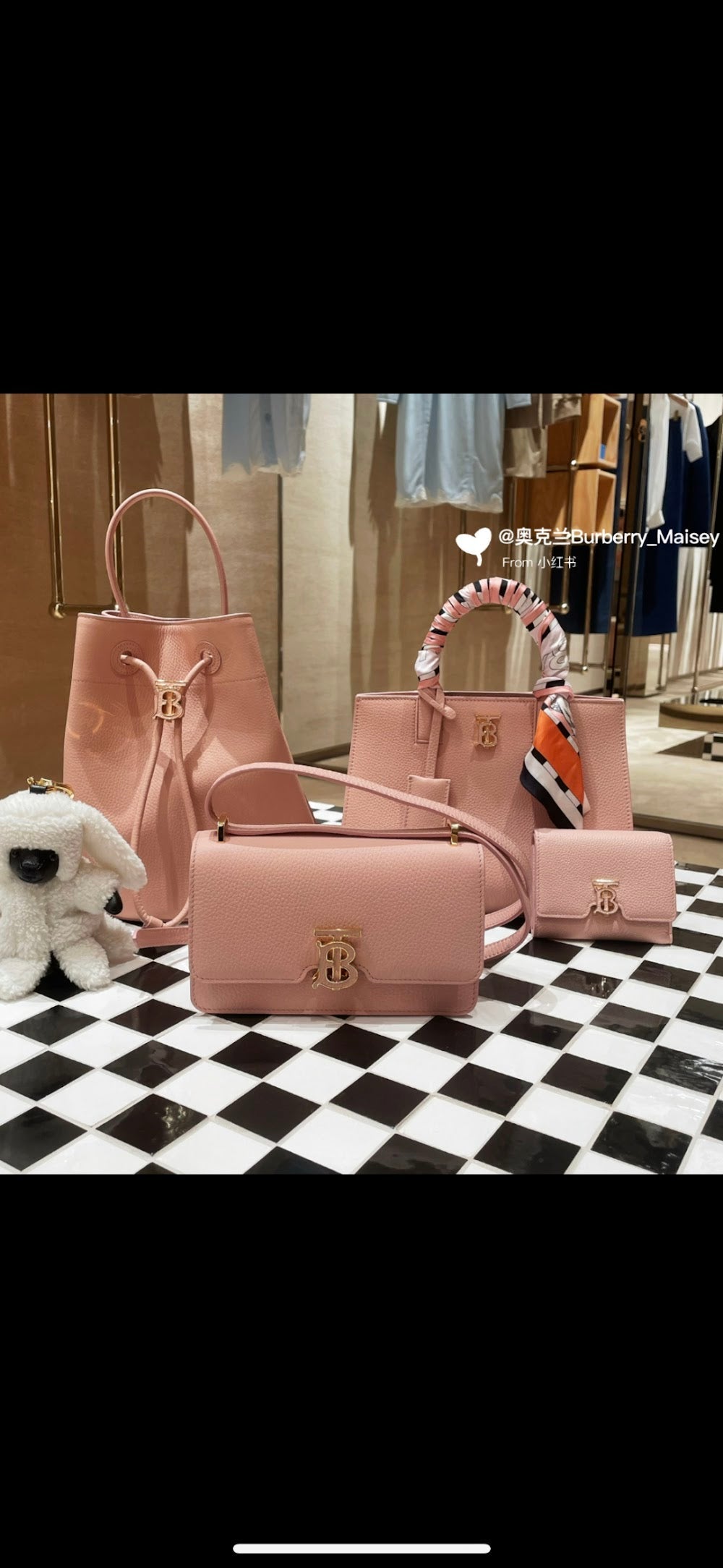 Dragons Bags Burberryn Luxury Bag --92695