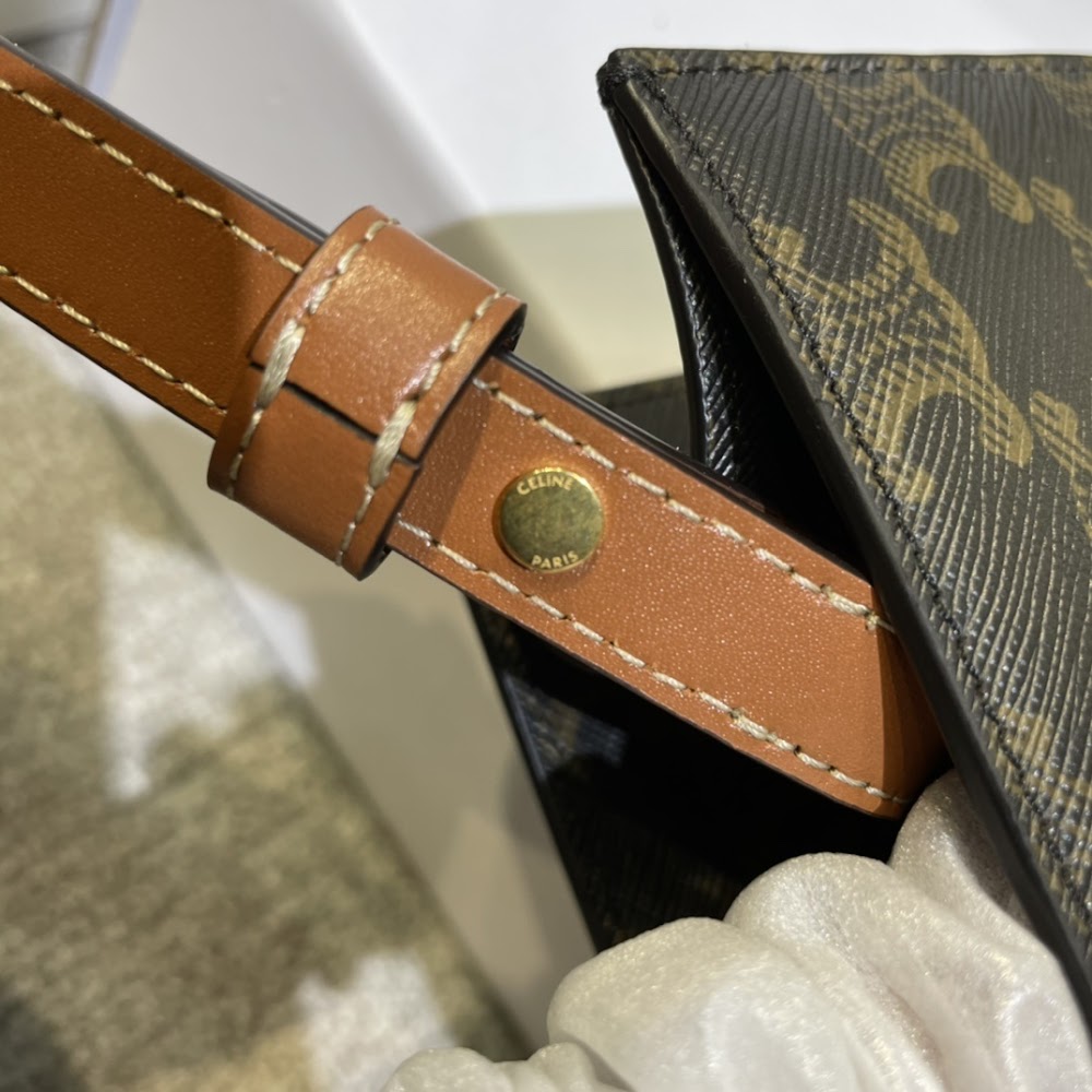 Dragons Bags Celine Luxury Bag --112400