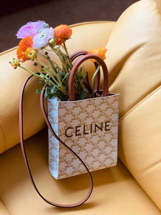 Dragons Bags Celine Luxury Bag --112633