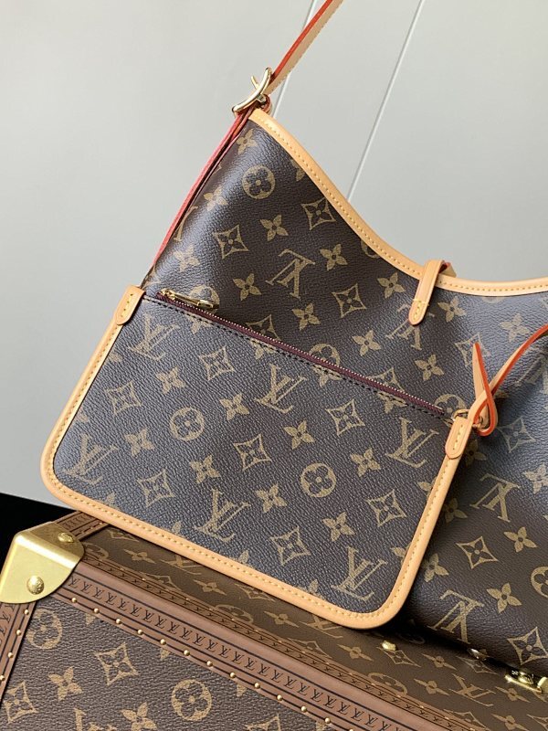 Dragons Bags LVn Luxury Bag --80451