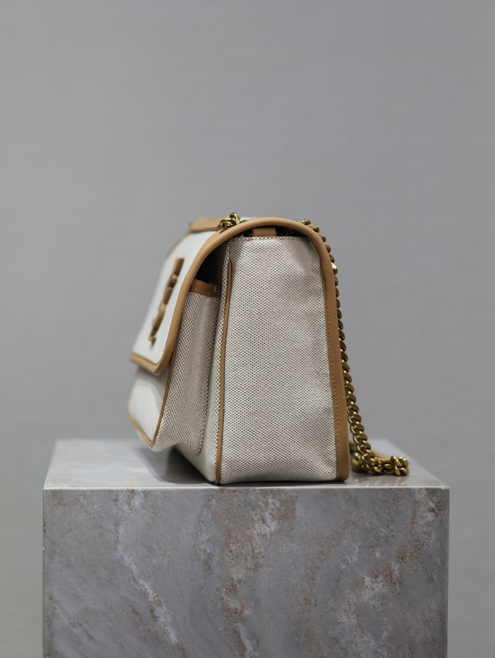 Dragons Bags YSLn Luxury Bag --119328