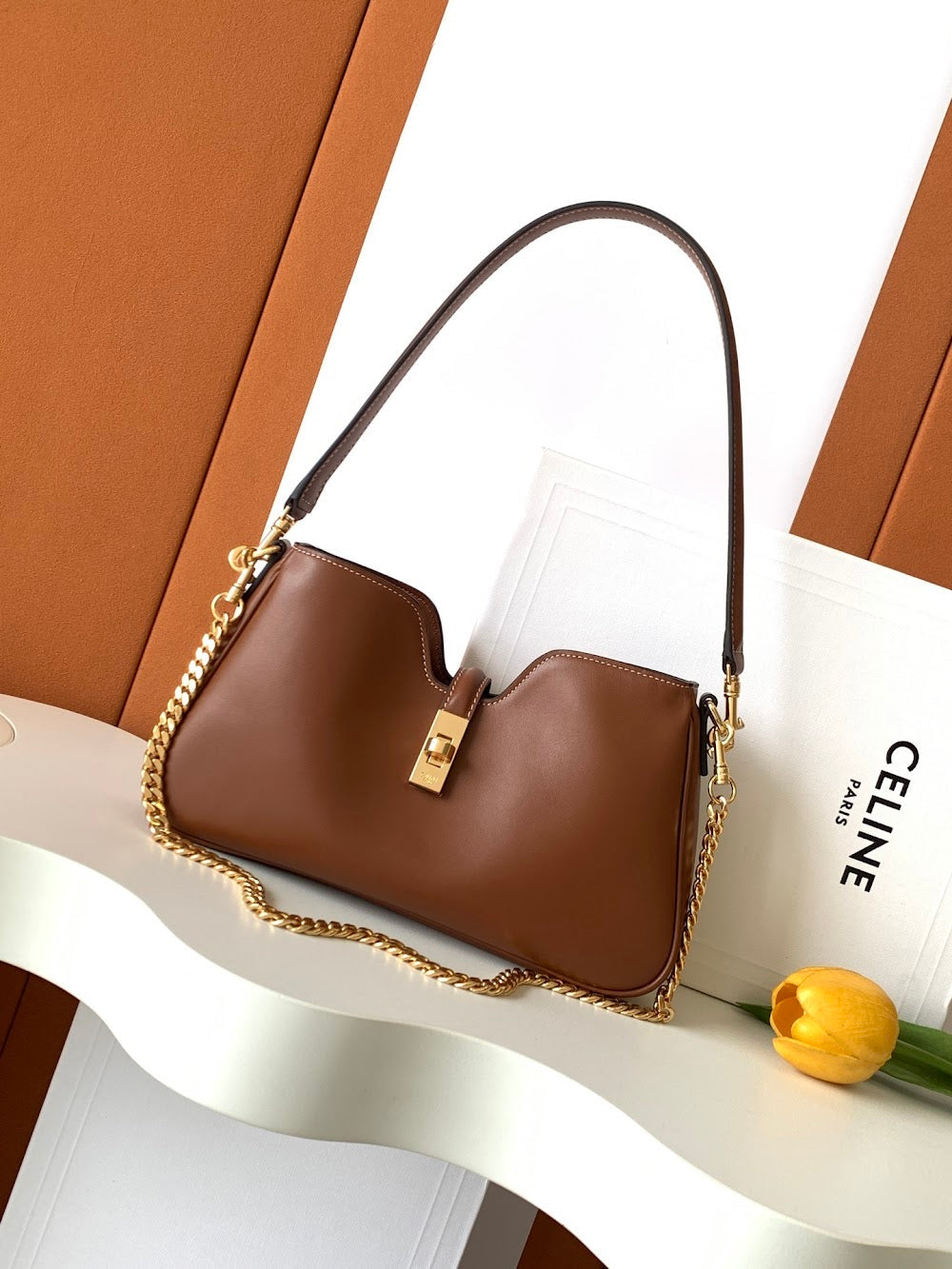 Dragons Bags Celine Luxury Bag --112089
