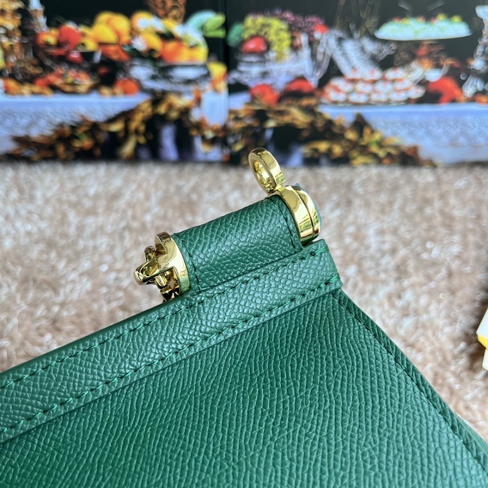 Dragons Bags DGn Luxury Bag --94008