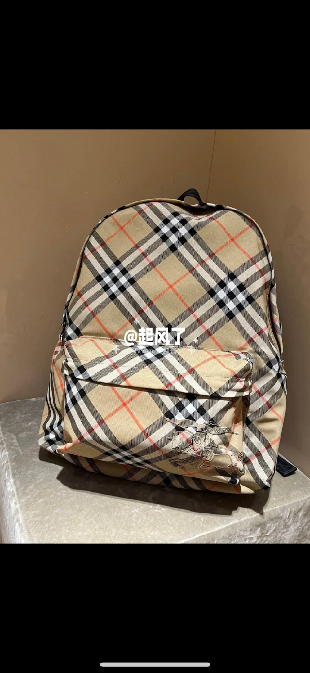 Dragons Bags Burberryn Luxury Bag --93136