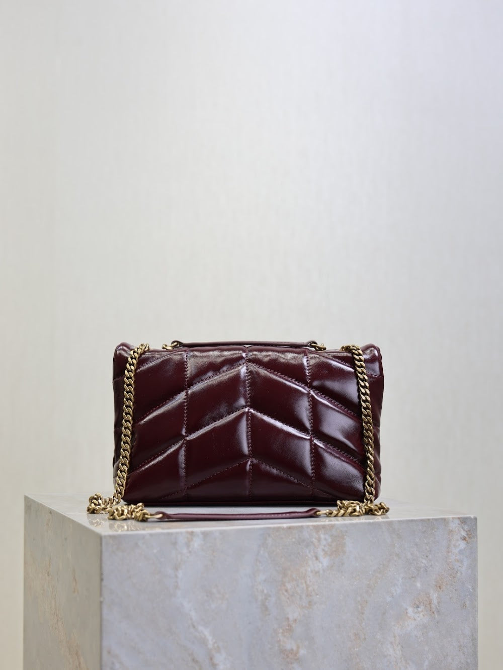 Dragons Bags YSLn Luxury Bag --119720