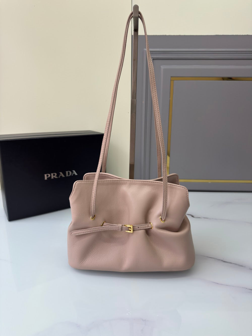 Dragons Bags Pradn Luxury Bag --101581