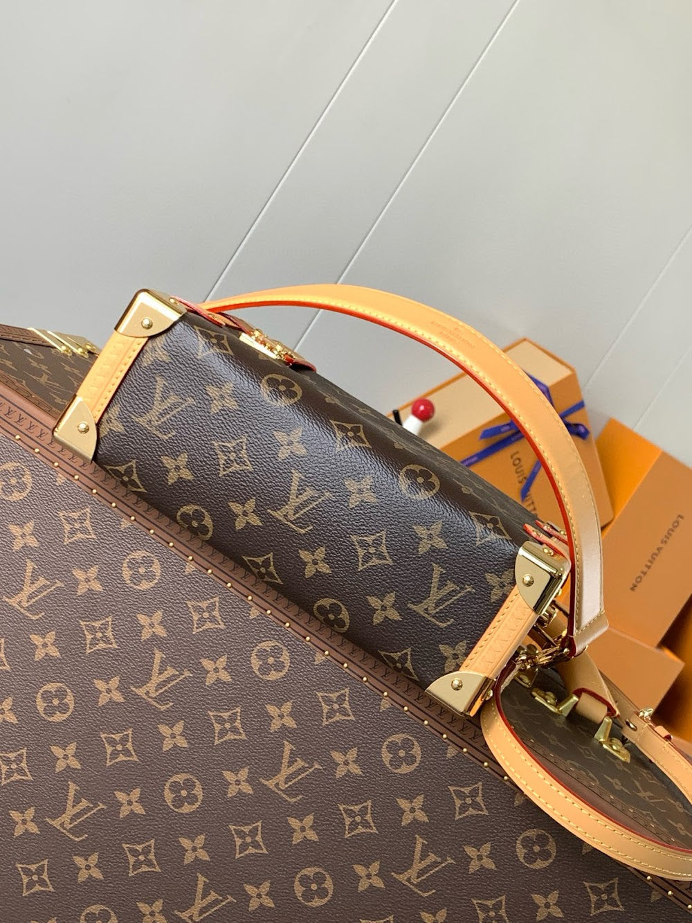 Dragons Bags LVn Luxury Bag --79325