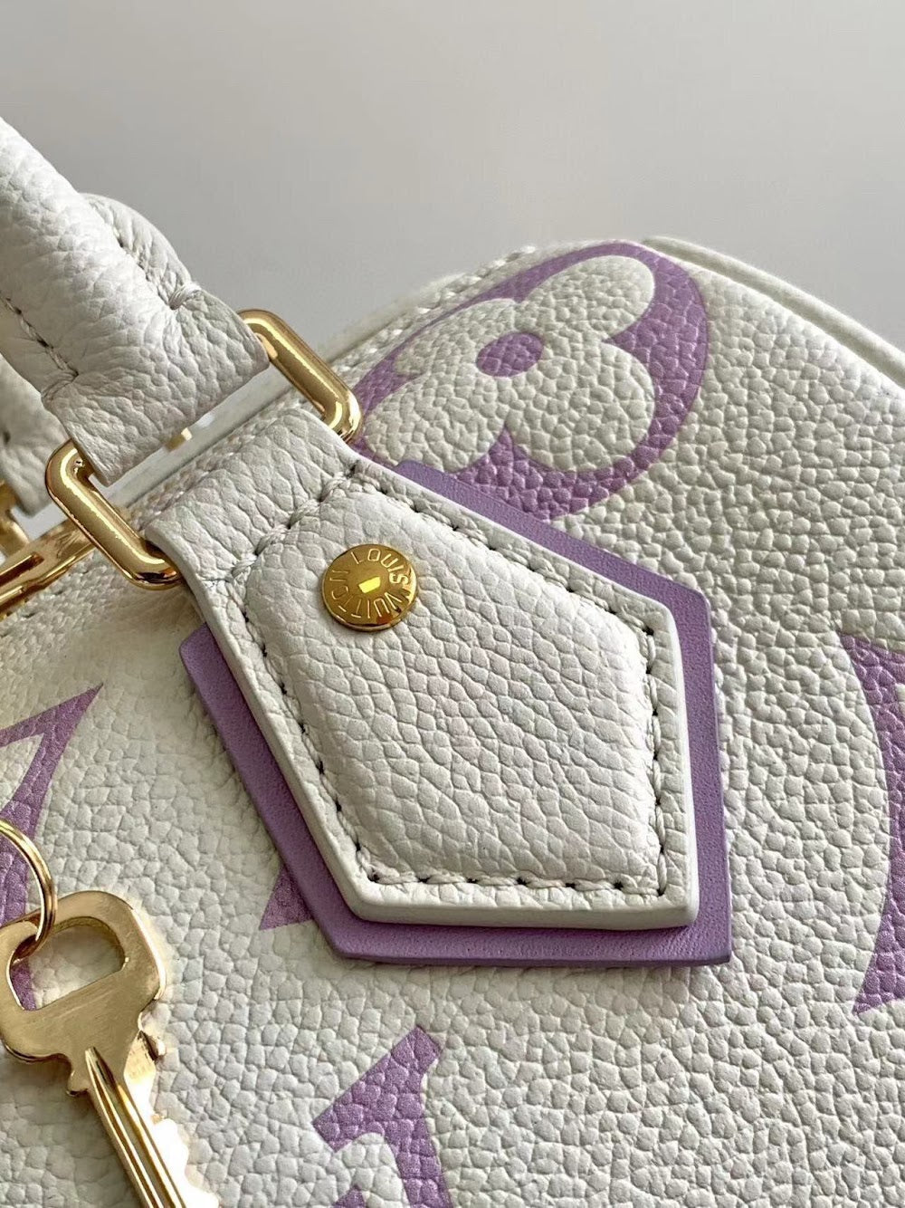 Dragons Bags ln Luxury Bag --97037