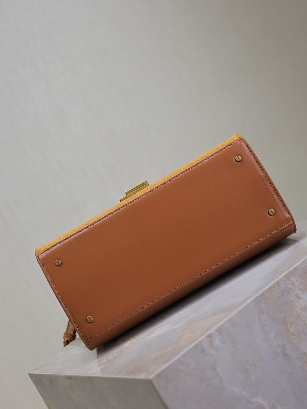 Dragons Bags YSLn Luxury Bag --119643
