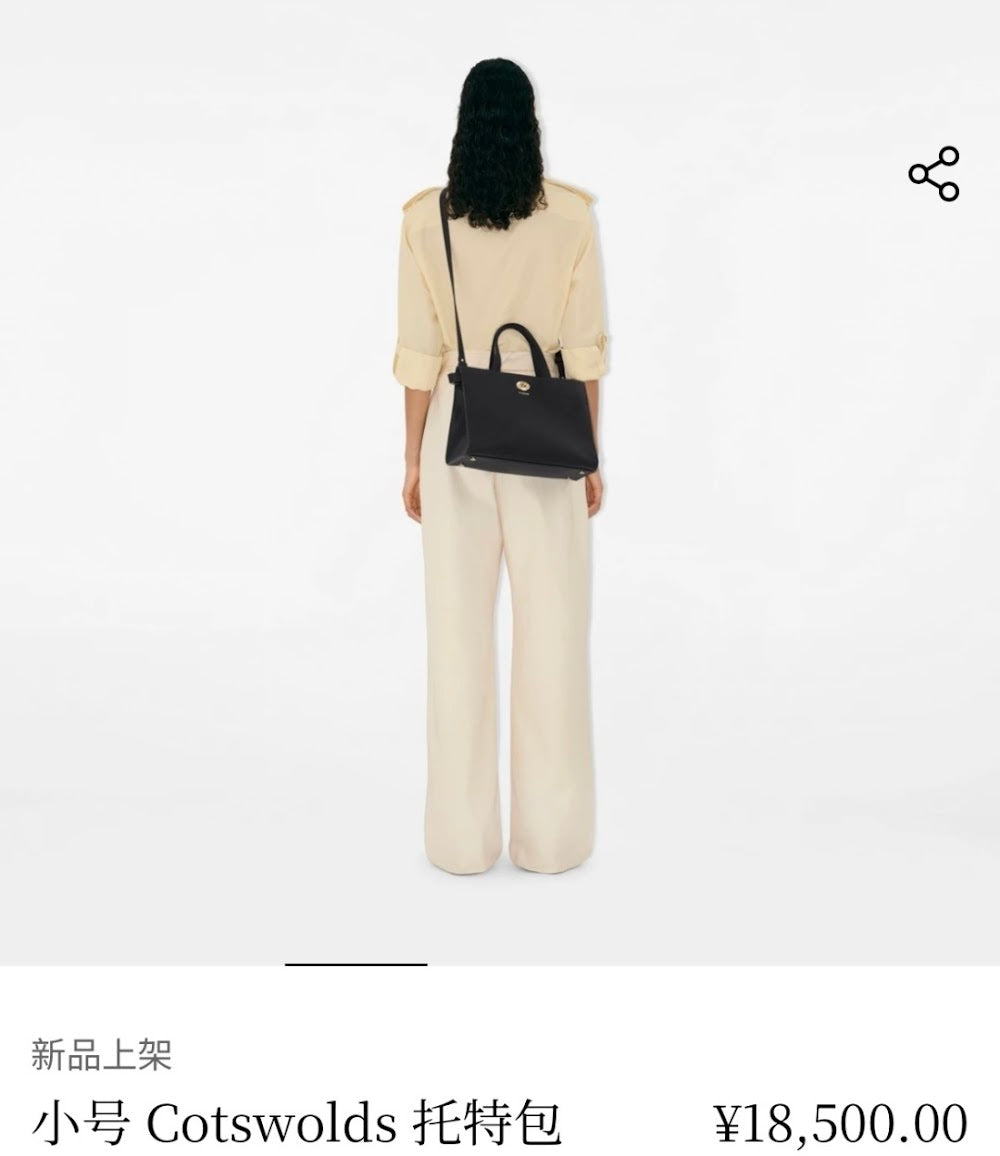 Dragons Bags Burberryn Luxury Bag --92614