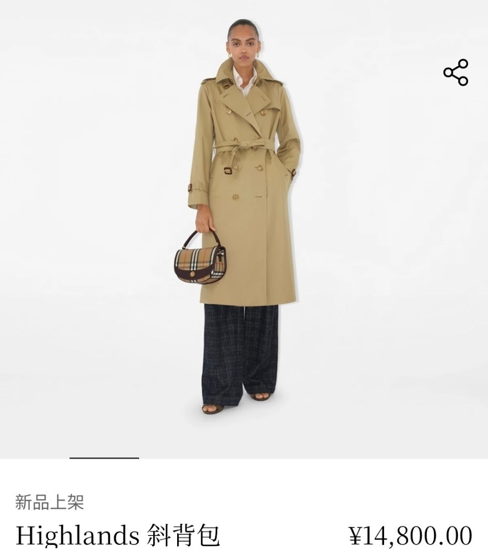 Dragons Bags Burberryn Luxury Bag --92661