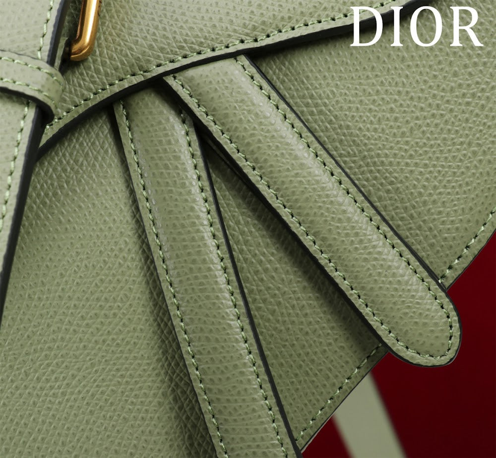 Dragons BagsDiorn Luxury Bag --116508