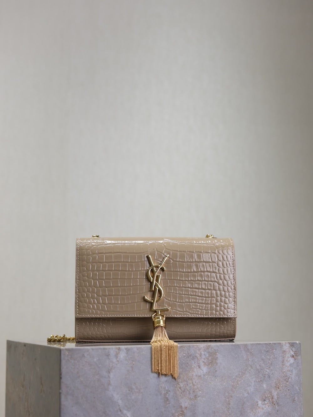 Dragons Bags YSLn Luxury Bag --119161