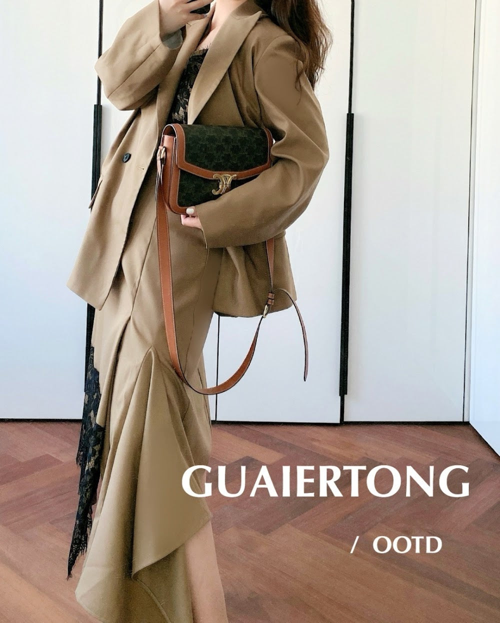 Dragons Bags Celine Luxury Bag --112385