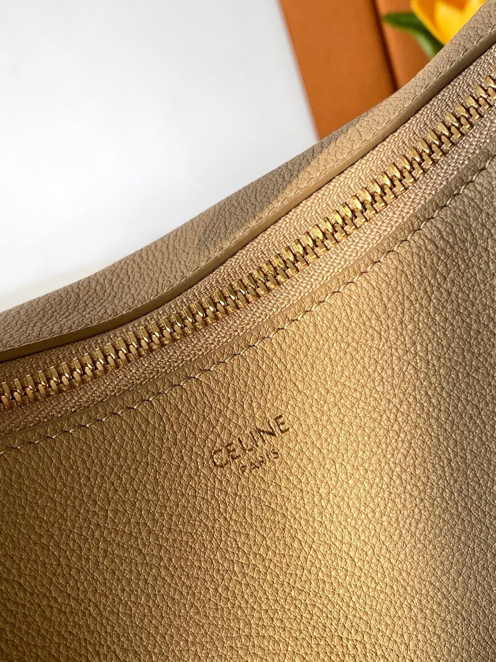 Dragons Bags Celine Luxury Bag --112079