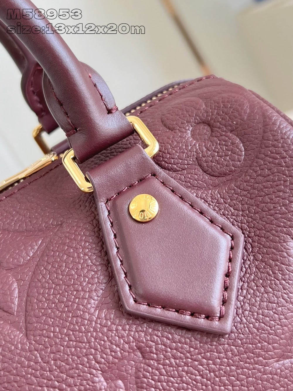 Dragons Bags ln Luxury Bag --96876