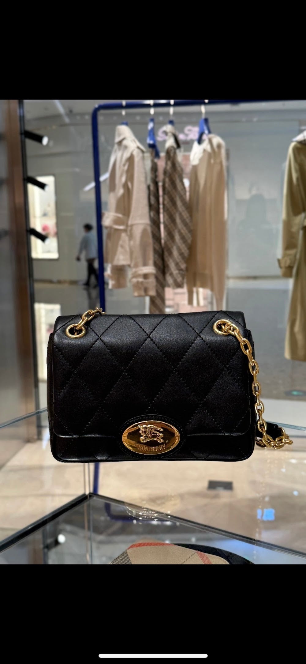 Dragons Bags Burberryn Luxury Bag --92328