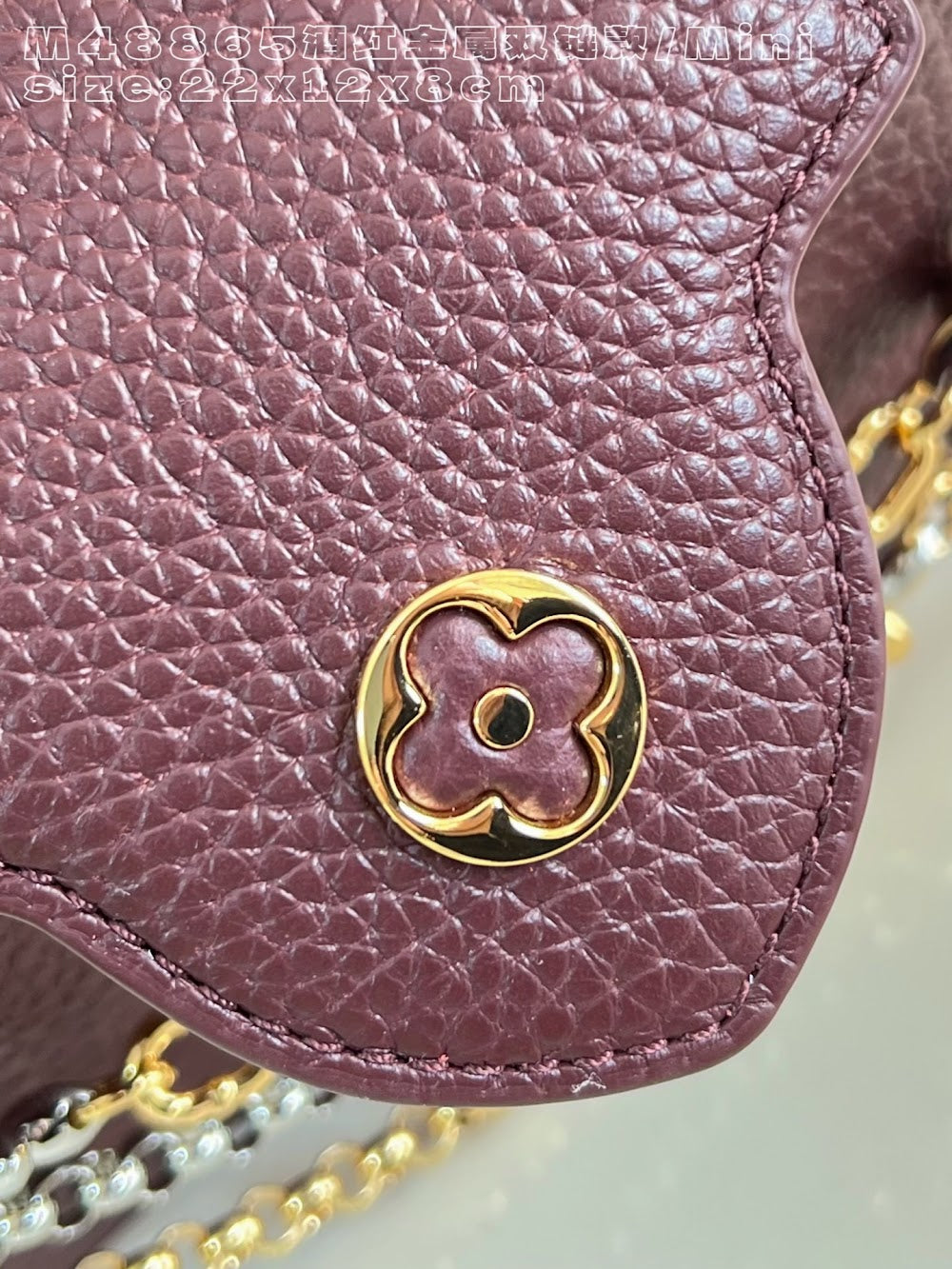 Dragons Bags ln Luxury Bag --95855